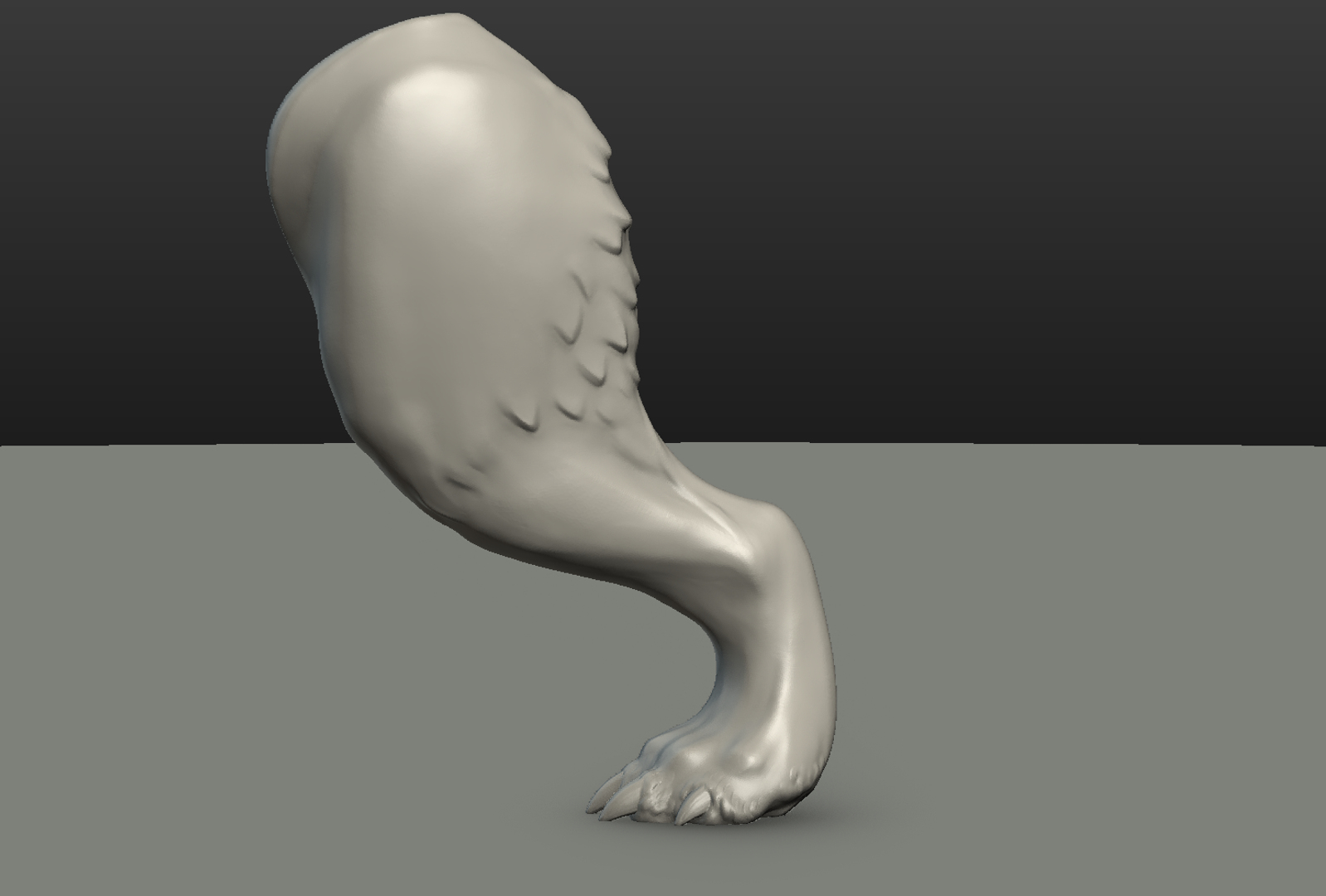 3D model wolf hind paw https://p.turbosquid.com/ts-thumb/fi/D7p02d/fVPhZPhg/wolf_hind_paw_turn/png/1514557718/1920x1080/turn_fit_q99/23e0c5cbf28469ad5a36d795ccf3899ef81e8f6f/wolf_hind_paw_turn-1.jpg