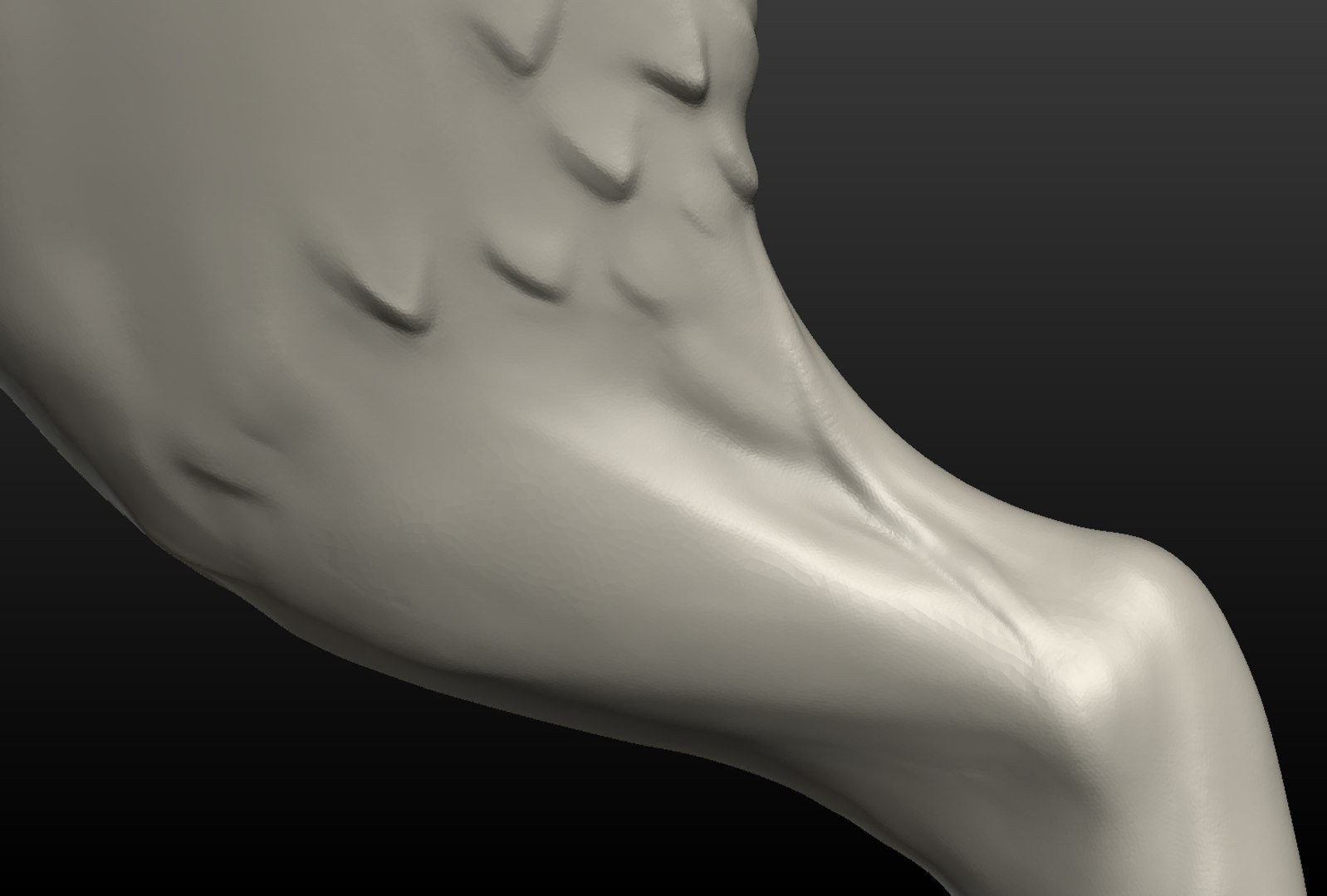 3D model wolf hind paw https://p.turbosquid.com/ts-thumb/fi/D7p02d/rvExzEuW/wolf_hind_paw012/png/1514557545/1920x1080/fit_q87/67b6554f53b82d9d7cd8d6b71fb3c7dbbfa7557f/wolf_hind_paw012.jpg