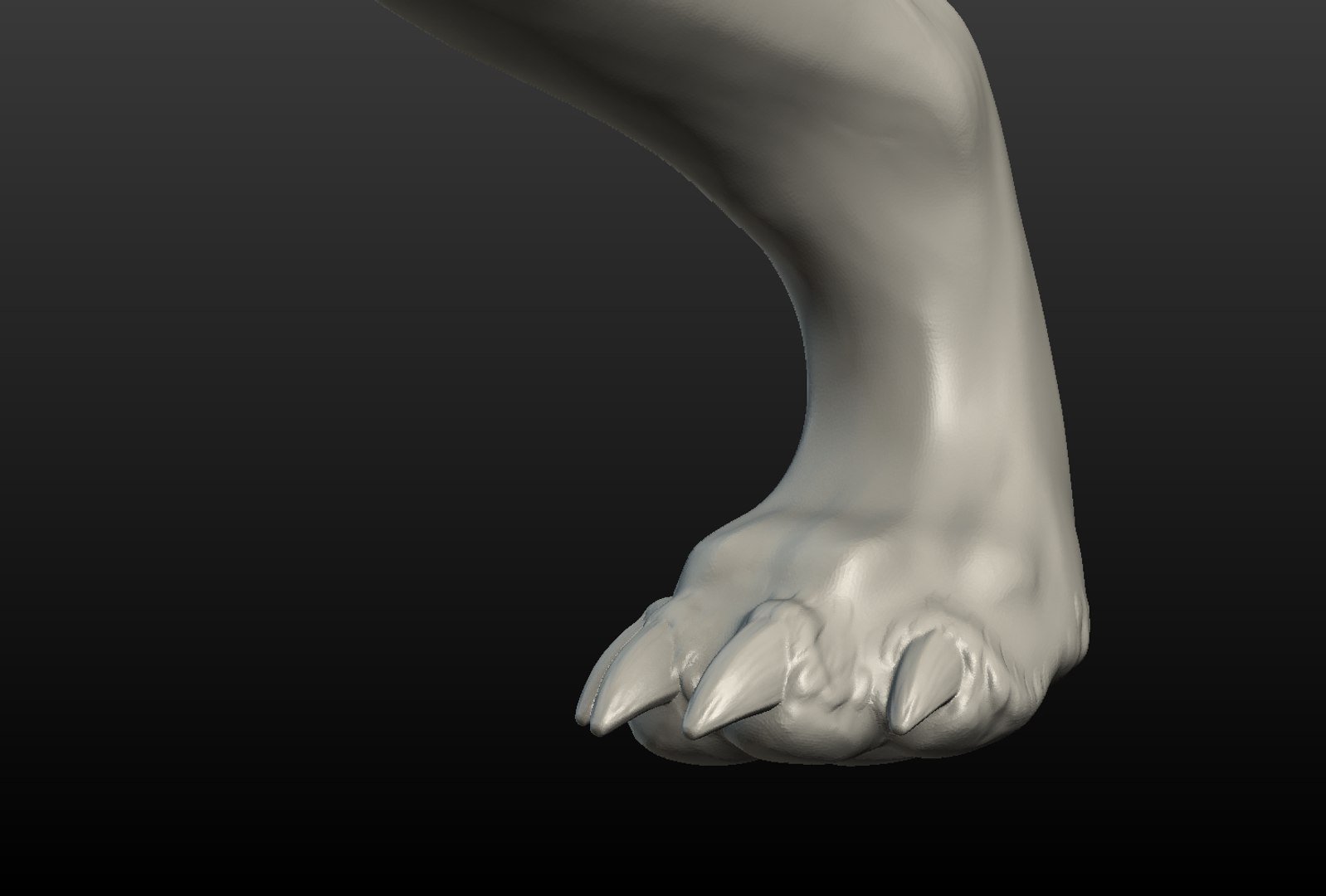 3D model wolf hind paw https://p.turbosquid.com/ts-thumb/fi/D7p02d/vodGt9ur/wolf_hind_paw007/png/1514557545/1920x1080/fit_q87/fd66b821af97719d5c0227f91ae3a8105acfe4b8/wolf_hind_paw007.jpg
