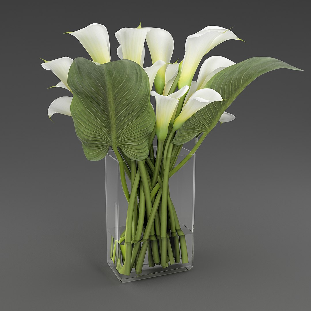 Bouquet Calla Lilies 3D Model - TurboSquid 1296709