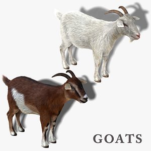 Goat 3D Models For Download | TurboSquid