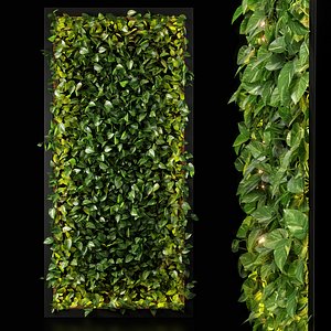 vertical garden 10