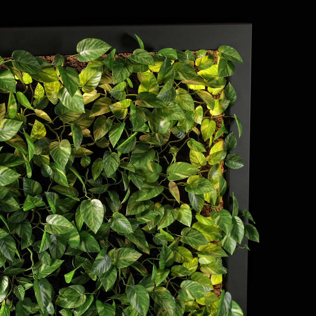 vertical garden 10 model https://p.turbosquid.com/ts-thumb/fi/SrMmhs/dBvh0mgB/vg10_06/jpg/1584026945/1920x1080/fit_q87/a828af94e507f0825133a5d0947c10fcb1ff83ad/vg10_06.jpg