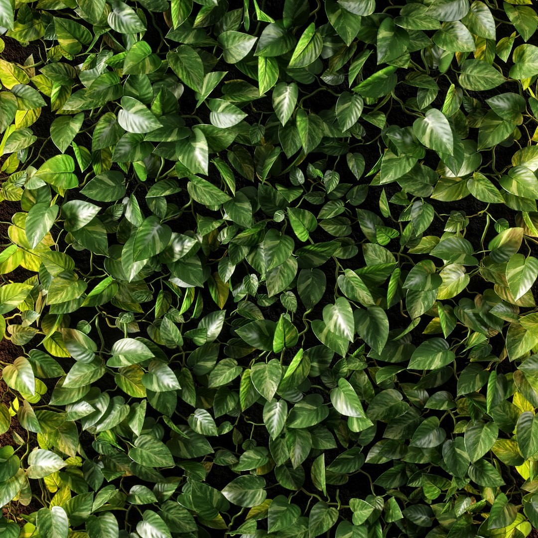 vertical garden 10 model https://p.turbosquid.com/ts-thumb/fi/SrMmhs/oLFbmW1G/vg10_05/jpg/1584026930/1920x1080/fit_q87/bd62f21a4b4067a454be80f687b3e9eba13c946f/vg10_05.jpg