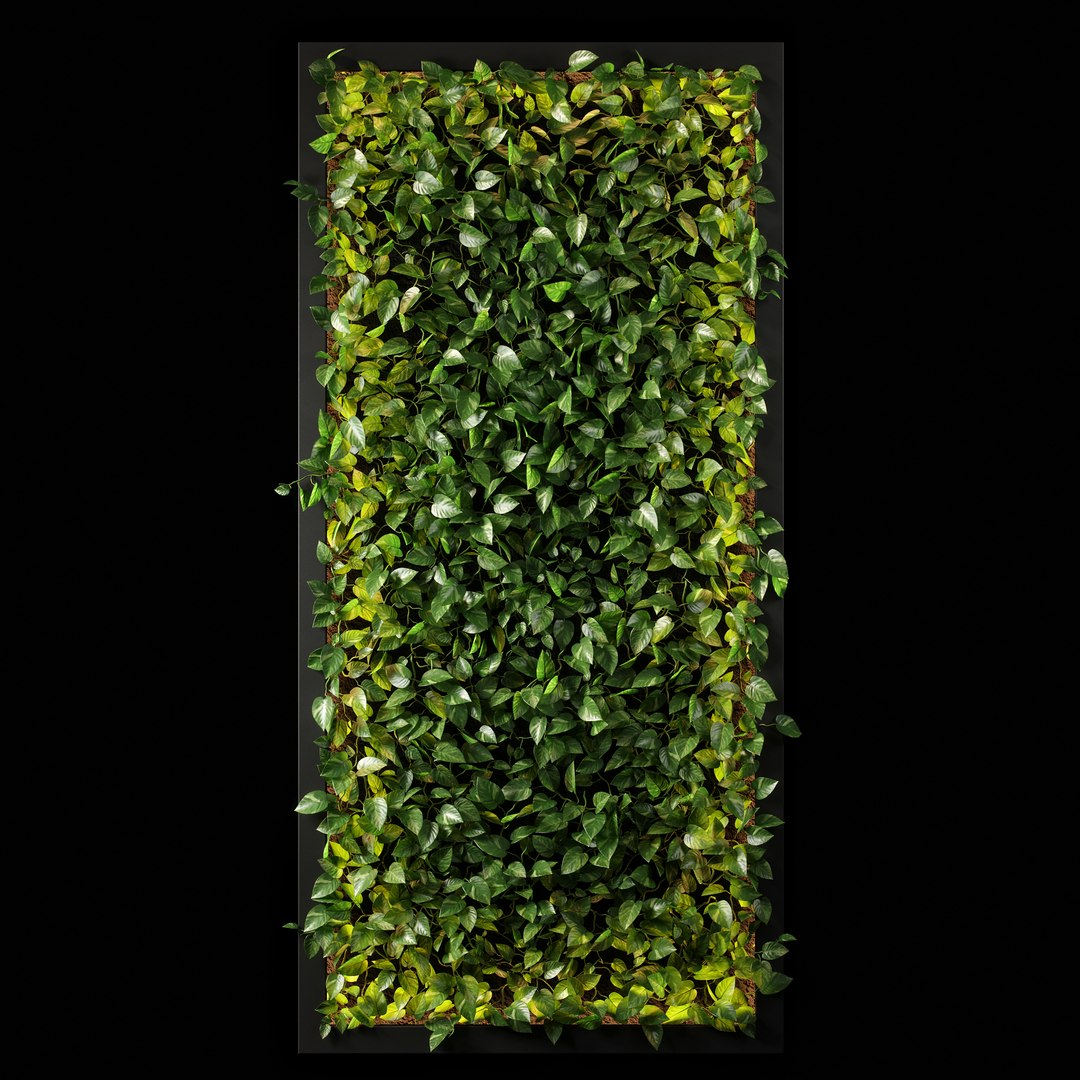 vertical garden 10 model https://p.turbosquid.com/ts-thumb/fi/SrMmhs/yiQf98kl/vg10_01/jpg/1584026795/1920x1080/fit_q87/859725d118a4247e7d70c940ef31928f86ca1989/vg10_01.jpg