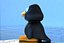 Pinguin