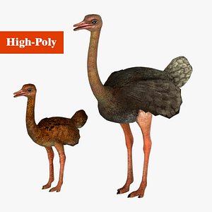 ostrich low-poly 3D model