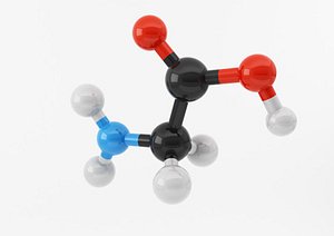 amino acids max