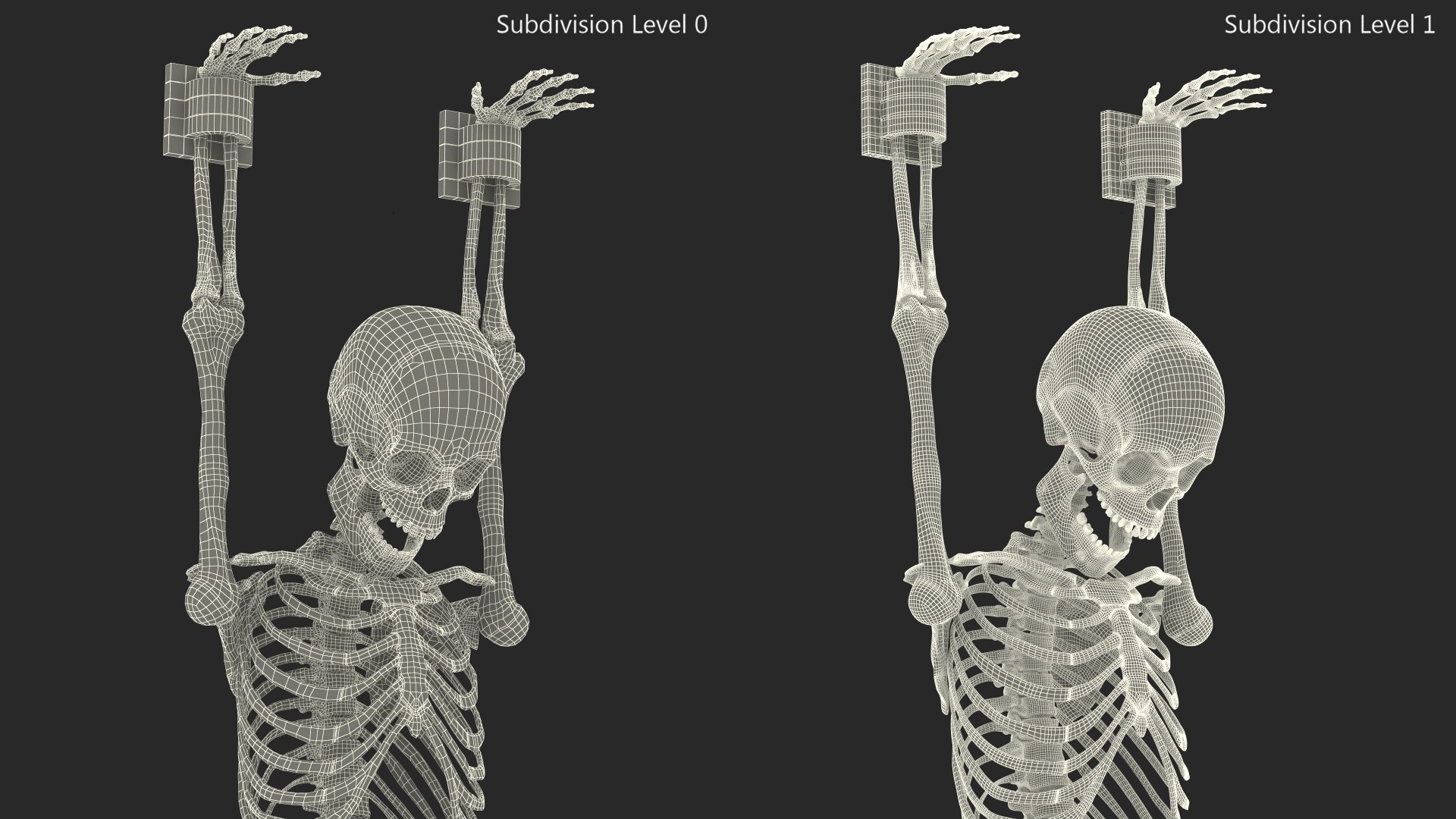 3D Human Male Skeleton Shackled - TurboSquid 2113266