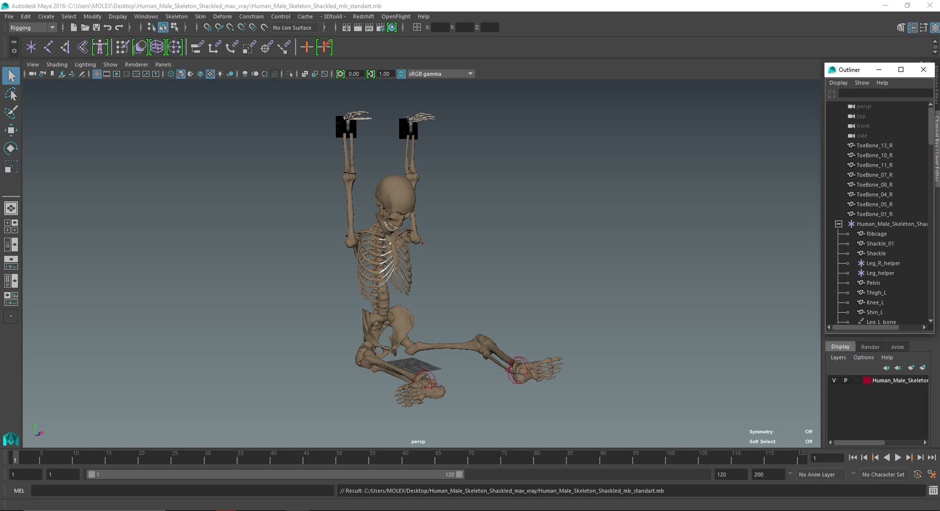 3D Human Male Skeleton Shackled - TurboSquid 2113266