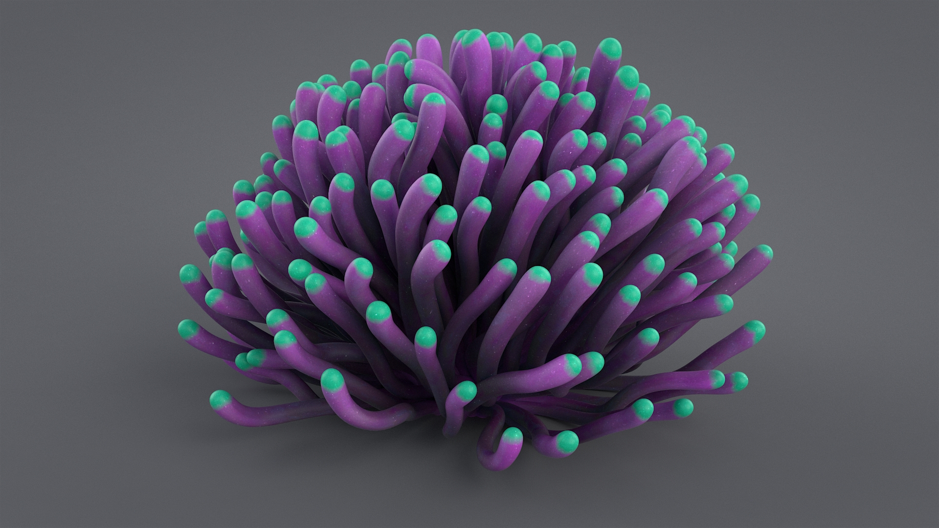 Coral Reef Pack Model - TurboSquid 1482810