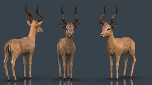 Impala