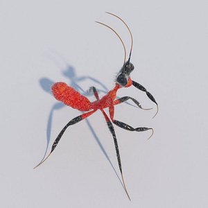 Kung Fu Mantis