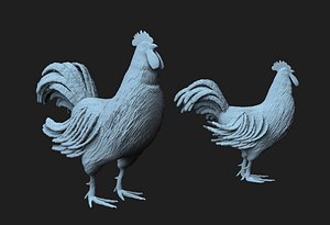 3D rooster