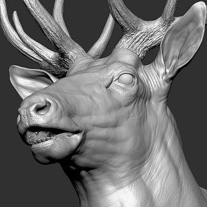 3D Elk VFX Zbrush Sculpture Digitale