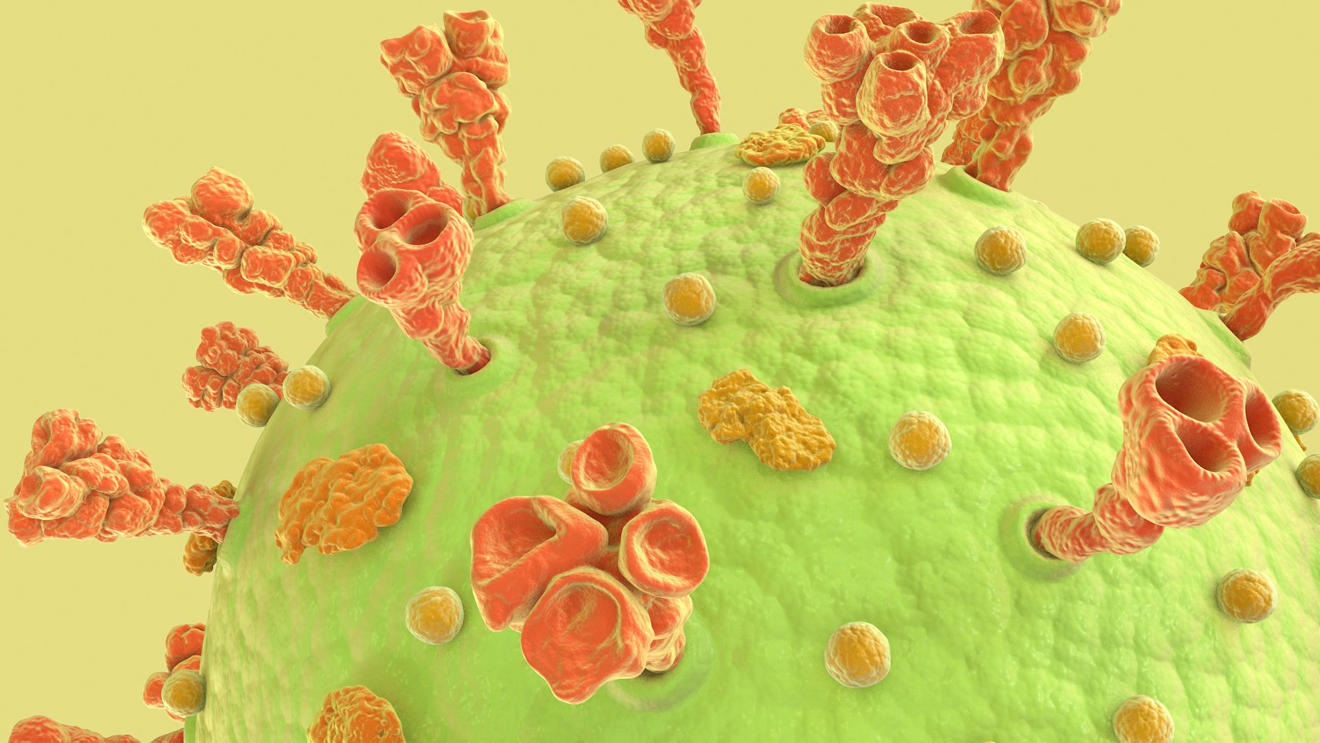 3D Coronavirus https://p.turbosquid.com/ts-thumb/fj/c6zhKl/1r/covid_0021/jpg/1622036518/1920x1080/fit_q87/bf74e816ee32eed107fe229456fbc5aae26c54aa/covid_0021.jpg