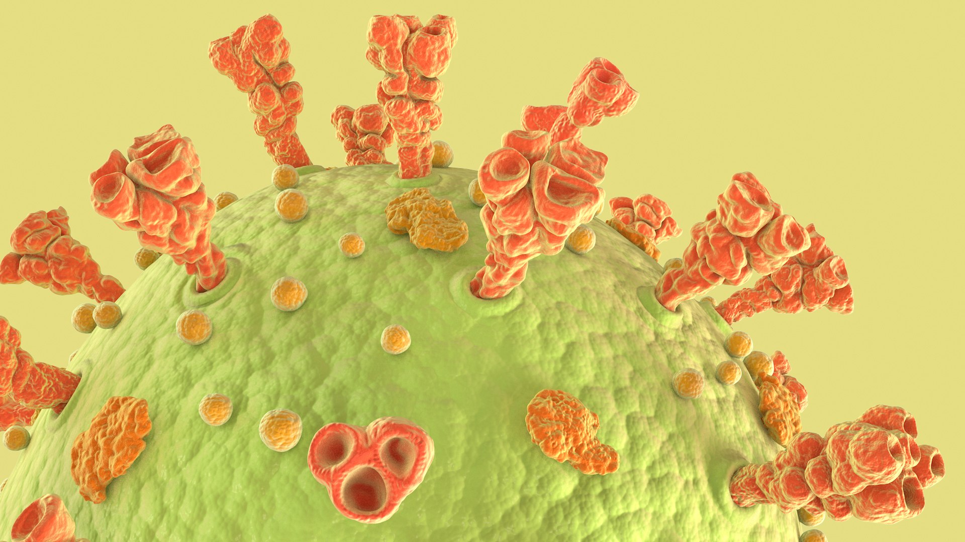 3D Coronavirus https://p.turbosquid.com/ts-thumb/fj/c6zhKl/1z/covid_0014/jpg/1622036510/1920x1080/fit_q87/e8e376b3106eca857de839ee29296370a1c1dbfe/covid_0014.jpg