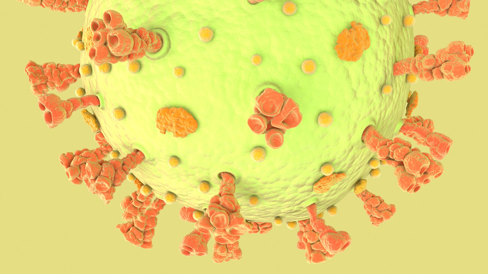3D Coronavirus https://p.turbosquid.com/ts-thumb/fj/c6zhKl/41/covid_0009/jpg/1622036512/1920x1080/fit_q87/740f2caa0fcbf8e0436871f1f6cb8d6376a0d163/covid_0009.jpg