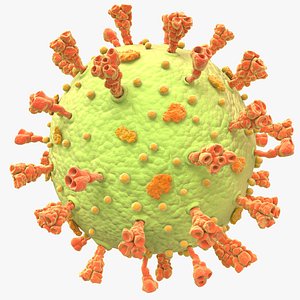 3D Coronavirus