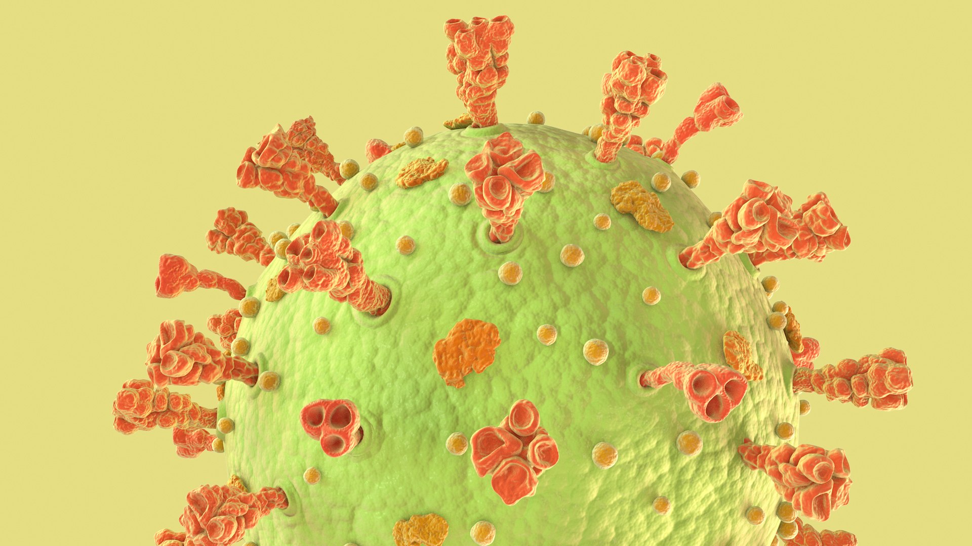 3D Coronavirus https://p.turbosquid.com/ts-thumb/fj/c6zhKl/9p/covid_0008/jpg/1622036503/1920x1080/fit_q87/27be66b44b793a1dfd5057402c9d13b3d1824836/covid_0008.jpg
