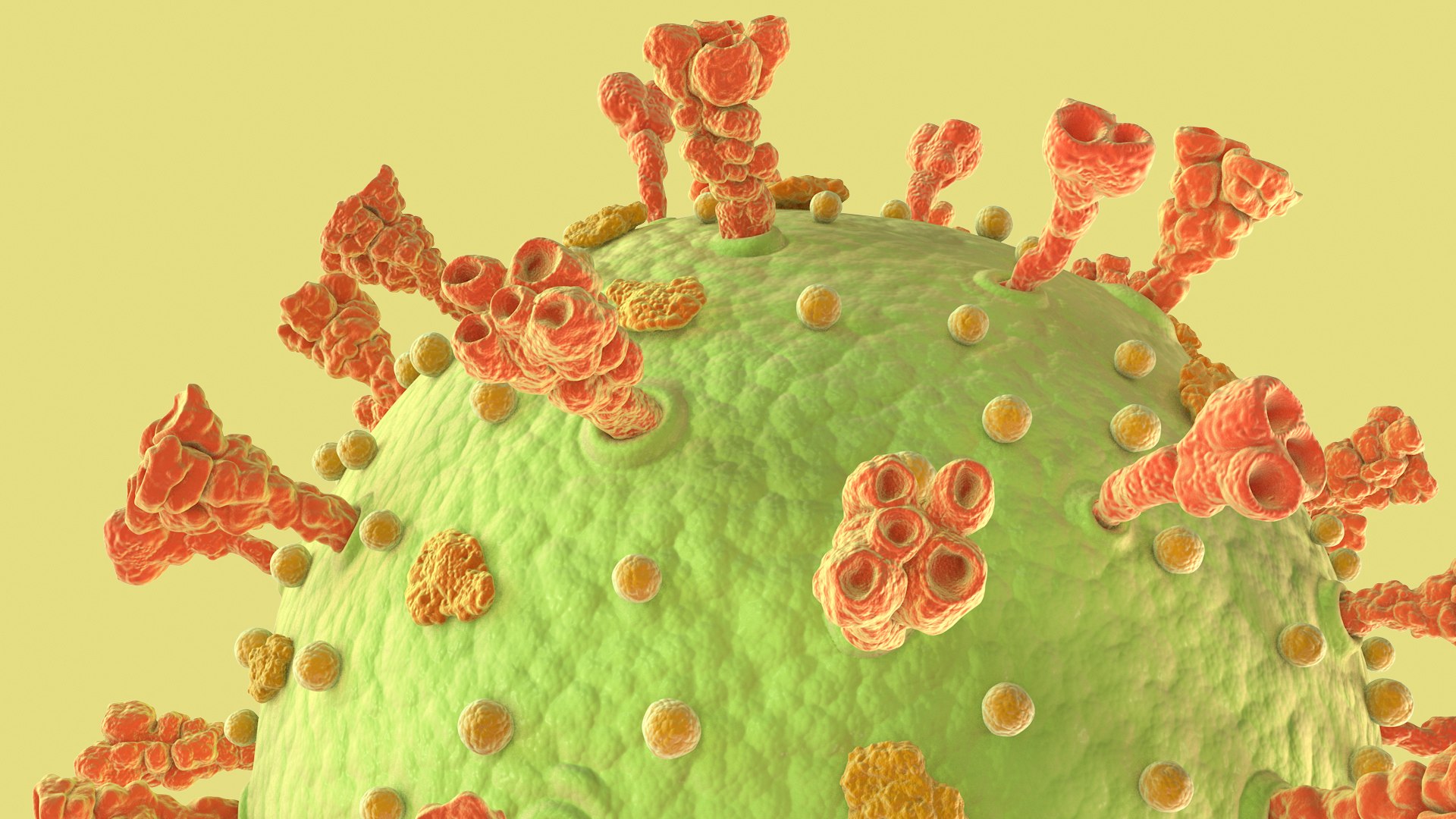 3D Coronavirus https://p.turbosquid.com/ts-thumb/fj/c6zhKl/Ab/covid_0013/jpg/1622036507/1920x1080/fit_q87/a281caec1c3f5caf8516b6f523ea418a929eeb77/covid_0013.jpg
