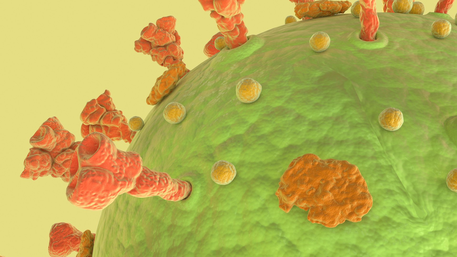 3D Coronavirus https://p.turbosquid.com/ts-thumb/fj/c6zhKl/En/covid_0019/jpg/1622036503/1920x1080/fit_q87/8967228dd6f41f431a5b551507b8a74cf50a71cc/covid_0019.jpg