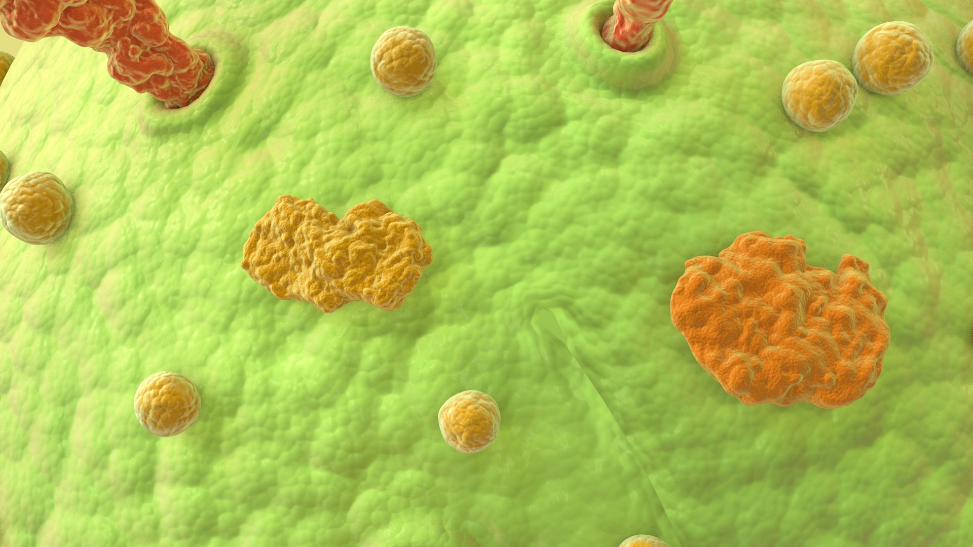 3D Coronavirus https://p.turbosquid.com/ts-thumb/fj/c6zhKl/Lw/covid_0025/jpg/1622036511/1920x1080/fit_q87/3b8f25686d67485fca30005c3fe9c5e2451939fd/covid_0025.jpg