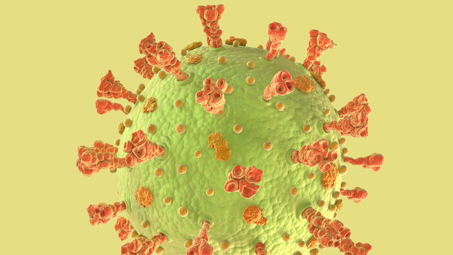 3D Coronavirus https://p.turbosquid.com/ts-thumb/fj/c6zhKl/Q3/covid_0012/jpg/1622036500/1920x1080/fit_q87/e1bb3e6d56dcffaf0cd174a9893ff23357fb27b3/covid_0012.jpg