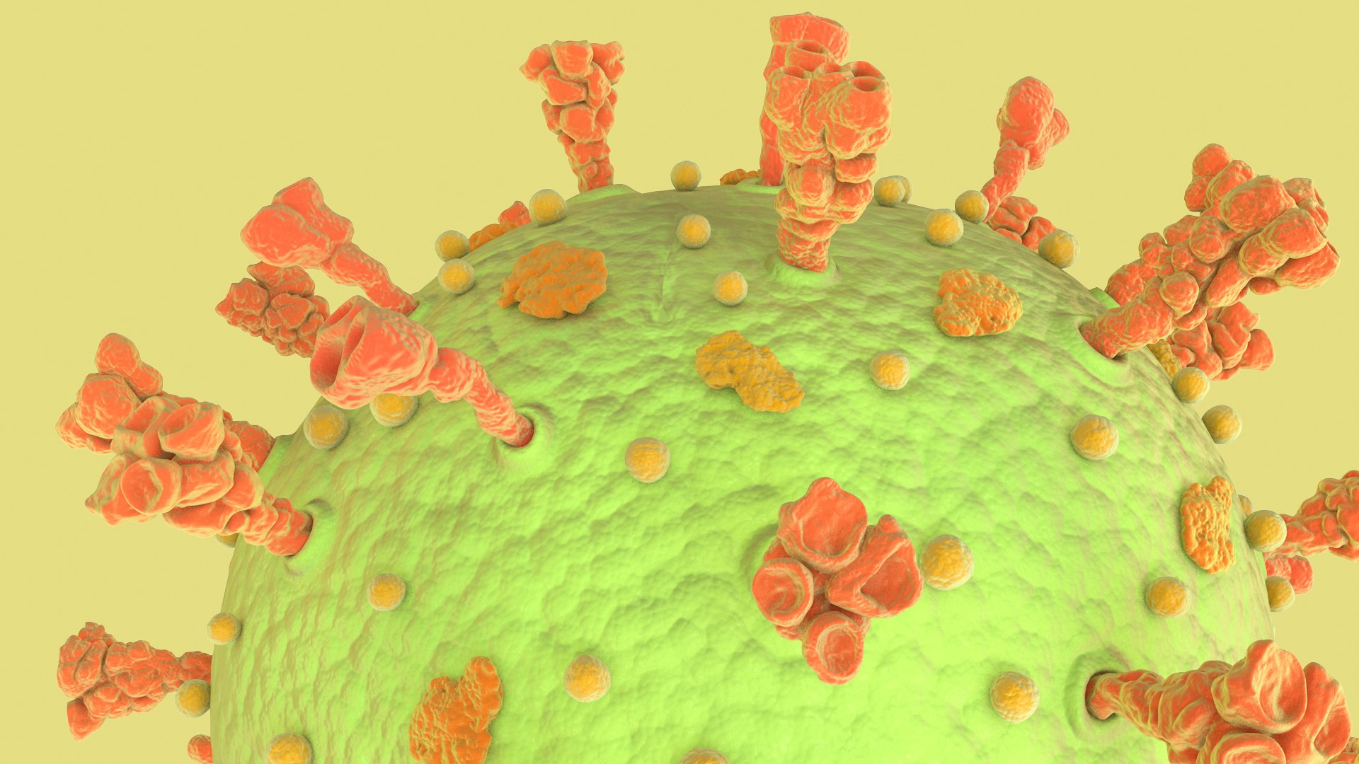 3D Coronavirus https://p.turbosquid.com/ts-thumb/fj/c6zhKl/Qx/covid_0020/jpg/1622036510/1920x1080/fit_q87/d8c4c906933de5c26a2a389405c3fe770655e607/covid_0020.jpg
