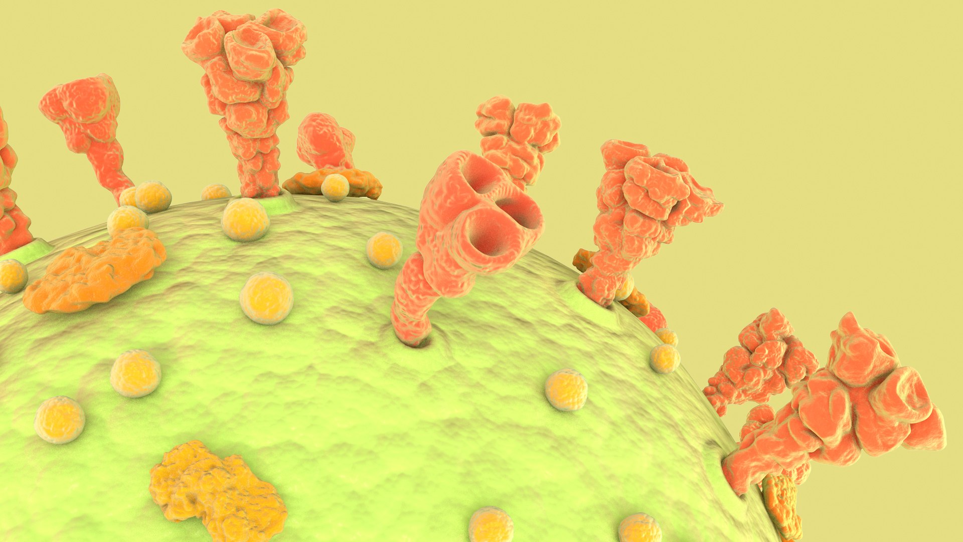 3D Coronavirus https://p.turbosquid.com/ts-thumb/fj/c6zhKl/Zs/covid_0015/jpg/1622036503/1920x1080/fit_q87/611ba9d8b6ae0411dbf604b5127076f9600d4572/covid_0015.jpg