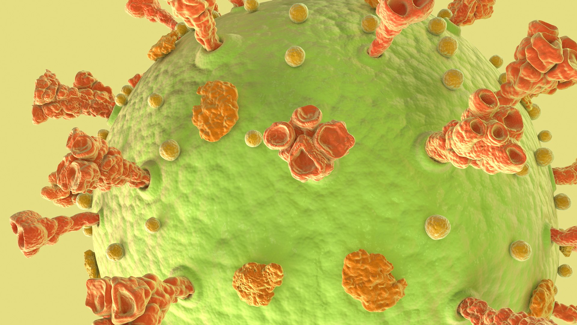 3D Coronavirus https://p.turbosquid.com/ts-thumb/fj/c6zhKl/dU/covid_0018/jpg/1622036518/1920x1080/fit_q87/96d9c633a0e3ebc3b812fed9c0aed92c3dbc5961/covid_0018.jpg