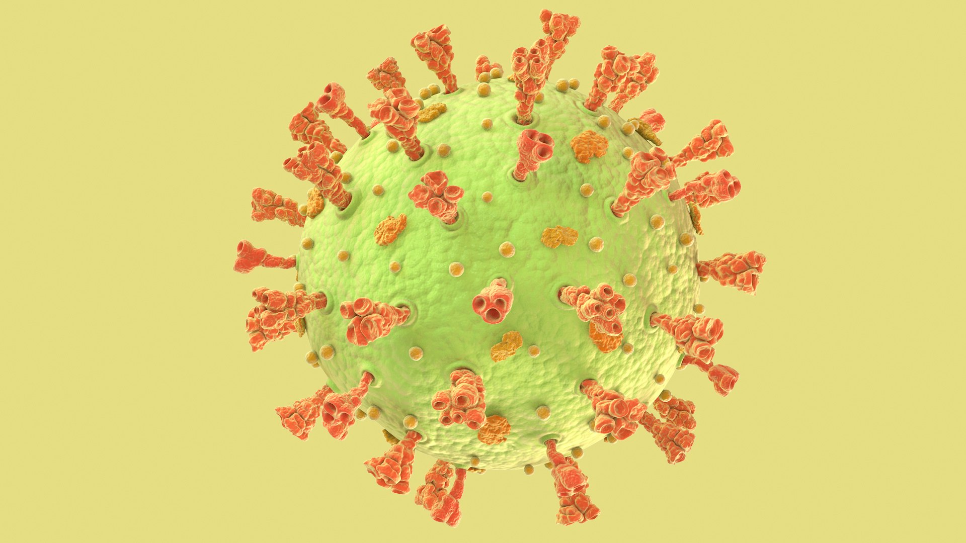 3D Coronavirus https://p.turbosquid.com/ts-thumb/fj/c6zhKl/hO/covid_0007/jpg/1622036499/1920x1080/fit_q87/74b932d17188514412bcee2318f60c1211b4ae04/covid_0007.jpg
