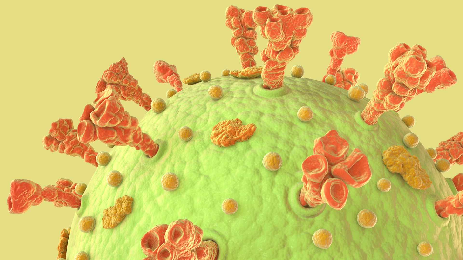 3D Coronavirus https://p.turbosquid.com/ts-thumb/fj/c6zhKl/nl/covid_0016/jpg/1622036514/1920x1080/fit_q87/7a00b71776e86b1121f806cef0025e02c7d58c8e/covid_0016.jpg