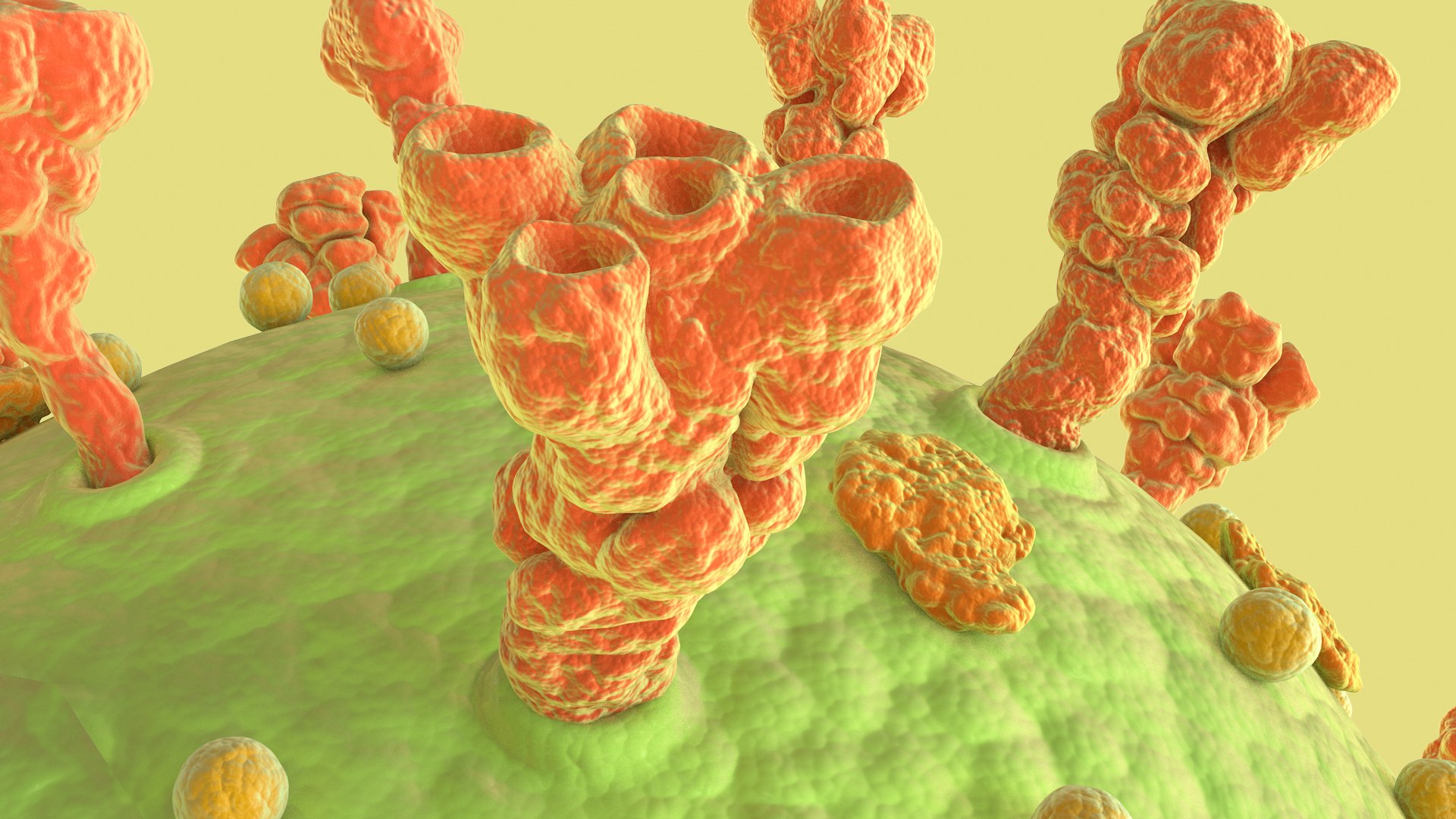 3D Coronavirus https://p.turbosquid.com/ts-thumb/fj/c6zhKl/oJ/covid_0023/jpg/1622036524/1920x1080/fit_q87/844f43af847c02ade899df14aef168f63bb05704/covid_0023.jpg
