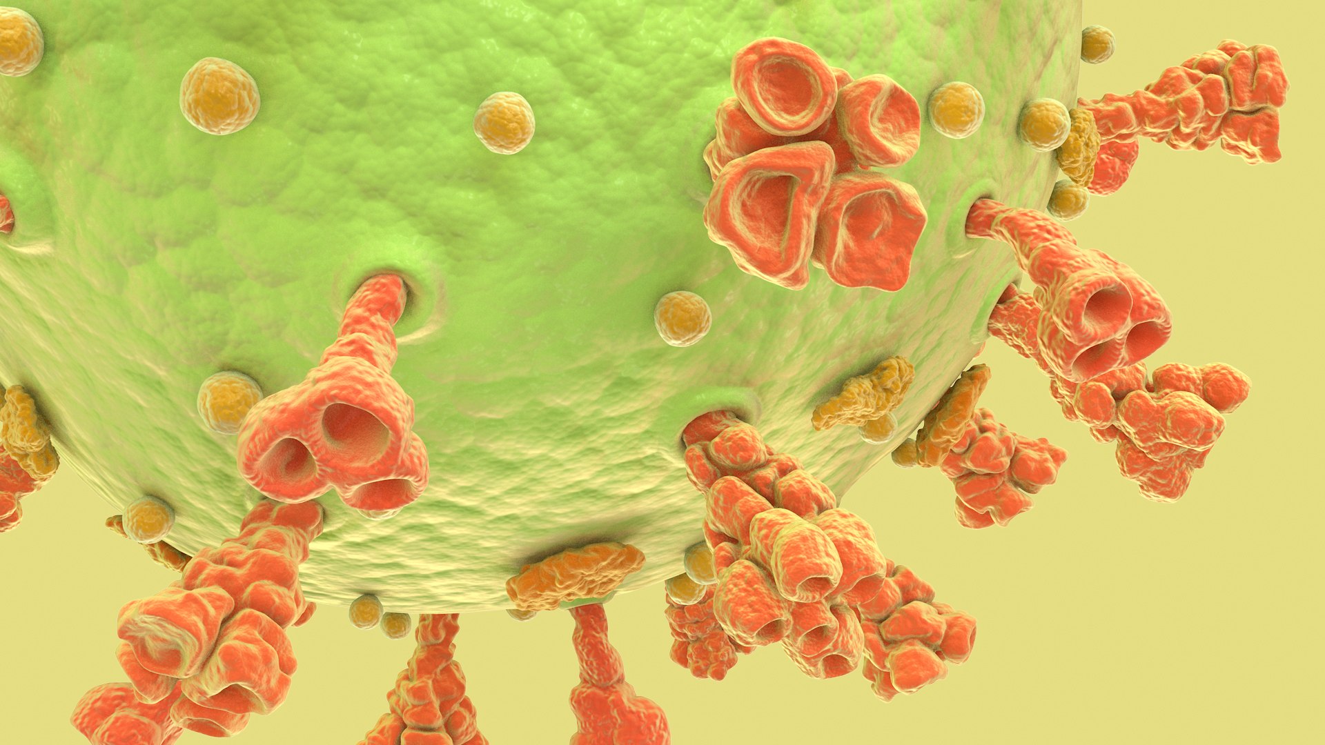 3D Coronavirus https://p.turbosquid.com/ts-thumb/fj/c6zhKl/ol/covid_0024/jpg/1622036518/1920x1080/fit_q87/8c5368f72fc3de813a8e713a22505ff839c91d3c/covid_0024.jpg
