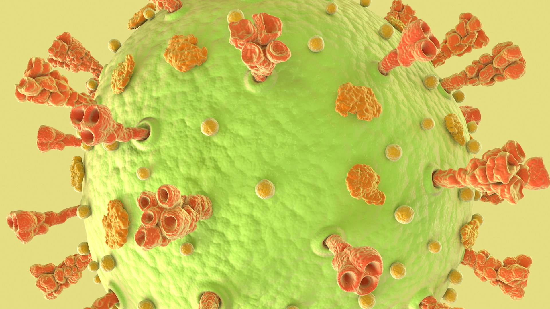 3D Coronavirus https://p.turbosquid.com/ts-thumb/fj/c6zhKl/qv/covid_0022/jpg/1622036518/1920x1080/fit_q87/c49328d40f52a9e9f97c0227f79268714c2f8ba9/covid_0022.jpg