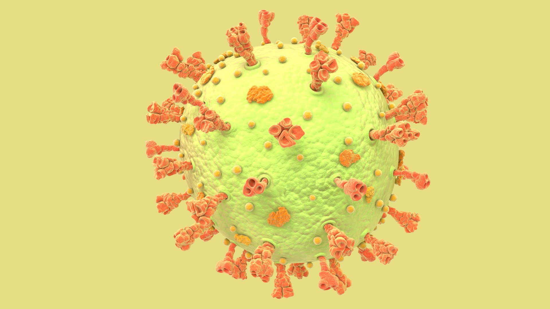 3D Coronavirus https://p.turbosquid.com/ts-thumb/fj/c6zhKl/tP/covid_0001/jpg/1622036497/1920x1080/fit_q87/068f72c7a5ee251adee2672255be62ed209798ab/covid_0001.jpg