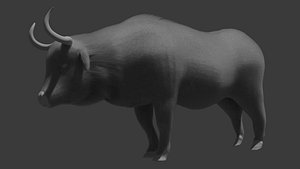 Bull