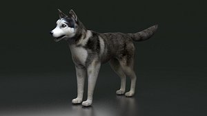 husky dog terrier Pet Dog arctic Labrador 3D model