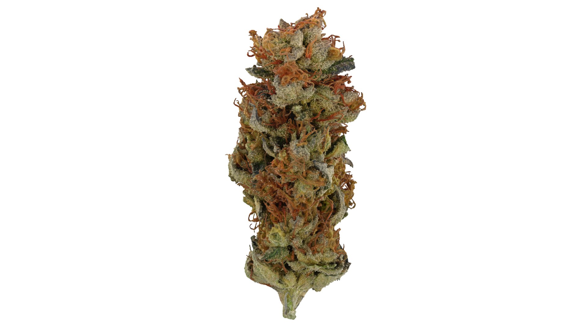 Punch Out Cannabis Bud 3D model https://p.turbosquid.com/ts-thumb/fj/qG48vW/0K/punchout_r3/png/1670966347/1920x1080/fit_q87/631d20df5ccb6faadfddc08ad9d653a399775c9d/punchout_r3.jpg