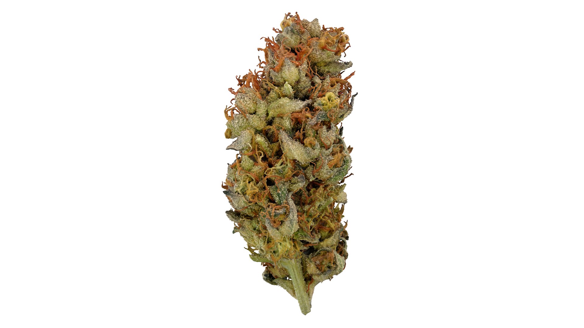 Punch Out Cannabis Bud 3D model https://p.turbosquid.com/ts-thumb/fj/qG48vW/6T/punchout_r2/png/1670966345/1920x1080/fit_q87/1c5d19e5e1840d4eb00c5f28dd47cc03286b0726/punchout_r2.jpg