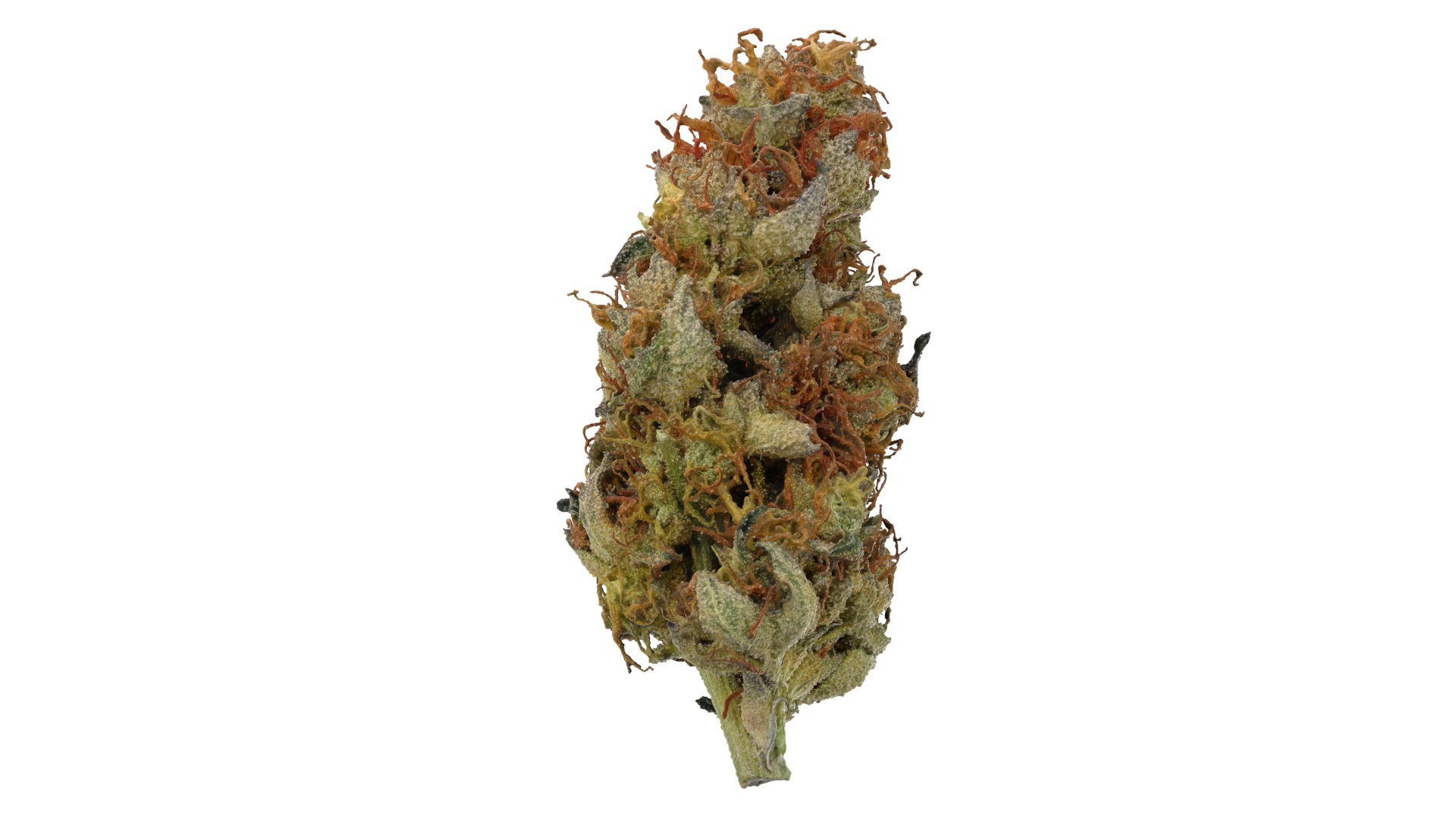 Punch Out Cannabis Bud 3D model https://p.turbosquid.com/ts-thumb/fj/qG48vW/6t/punchout_r5/png/1670966351/1920x1080/fit_q87/e2f1b956a9d1ba3bc7f451db0fbf851252188ba0/punchout_r5.jpg