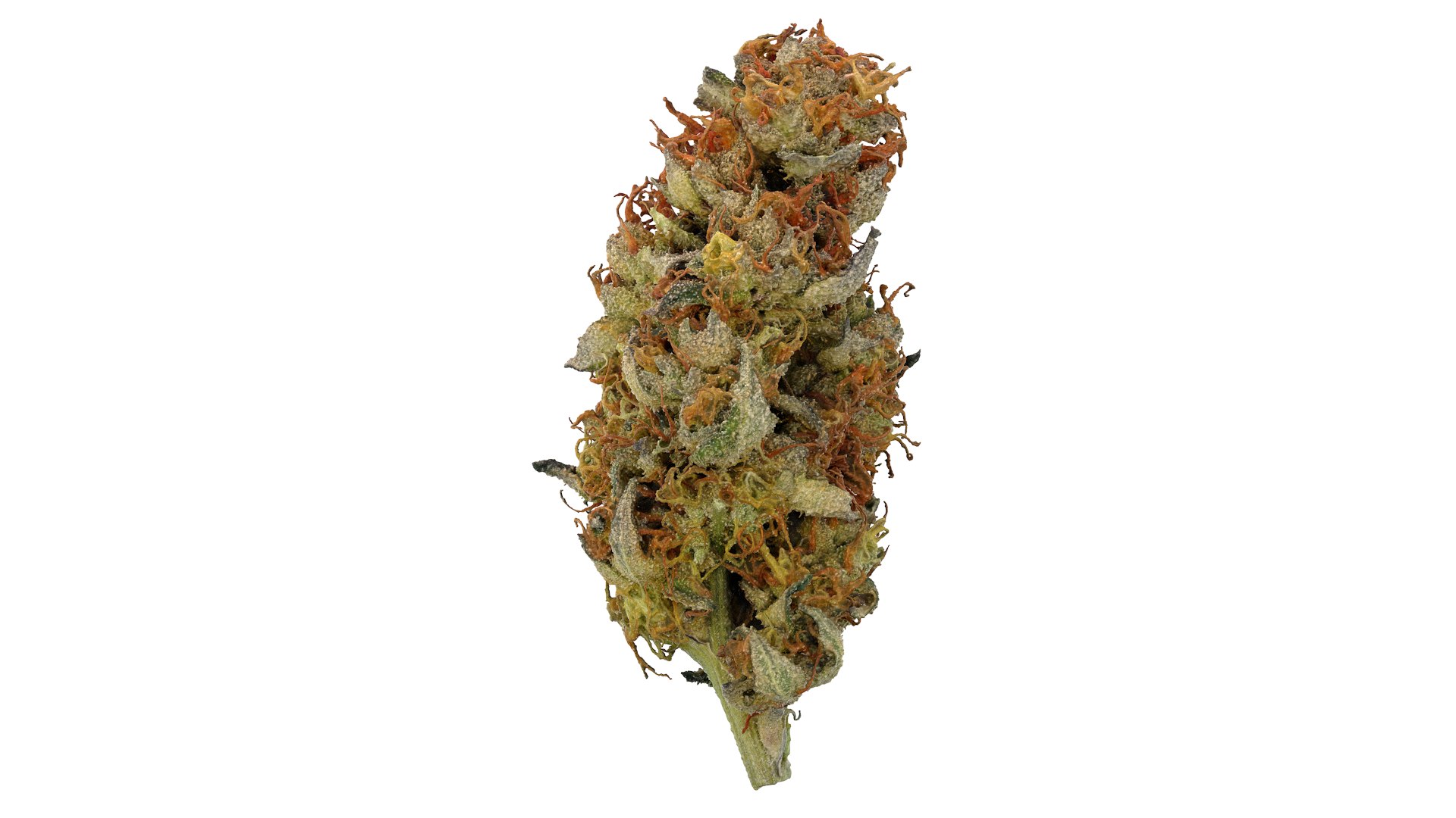 Punch Out Cannabis Bud 3D model https://p.turbosquid.com/ts-thumb/fj/qG48vW/FP/punchout_r1b/png/1670966342/1920x1080/fit_q87/384f034f7506df3fbab3b524d51773e3e01cb434/punchout_r1b.jpg