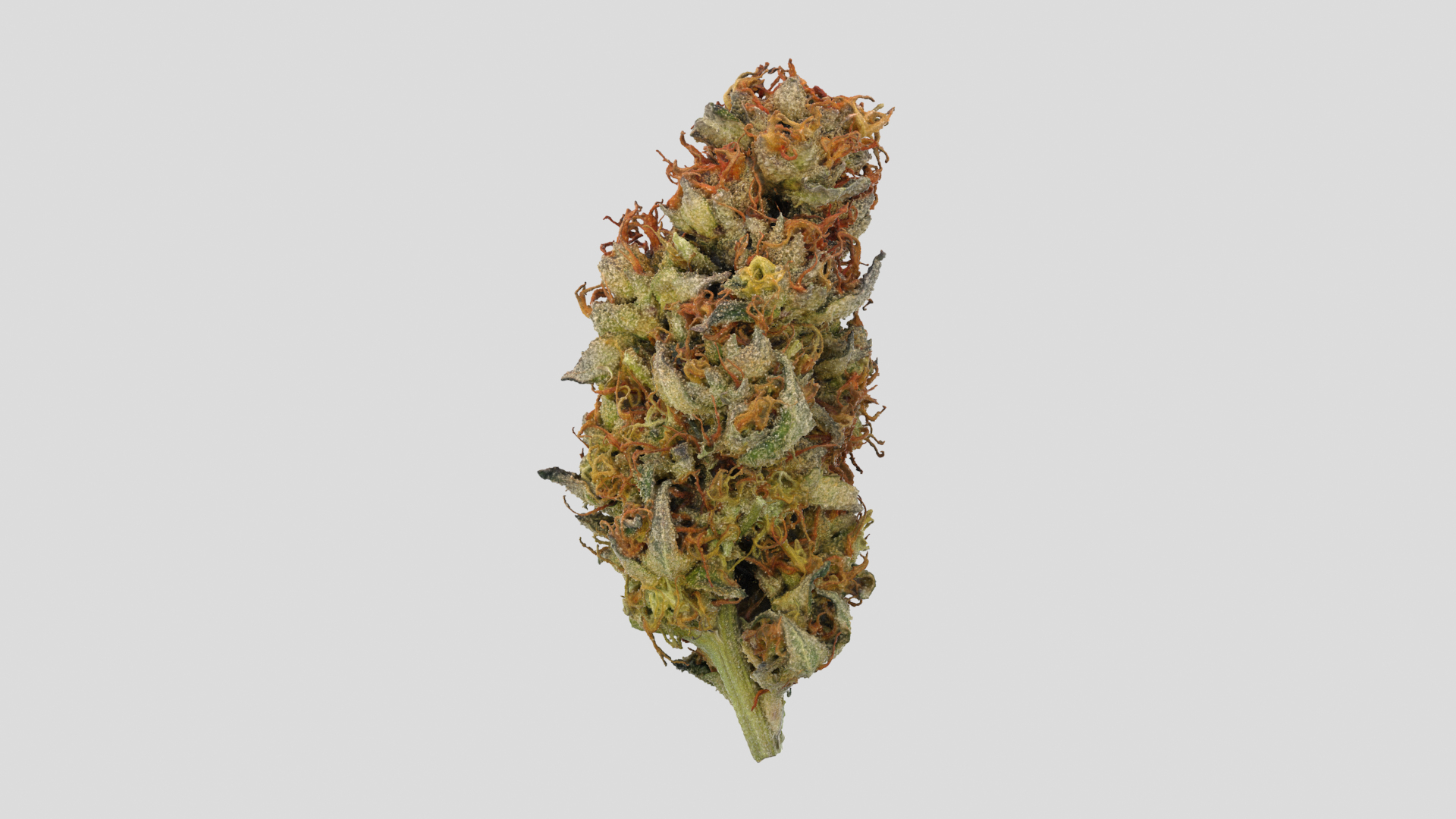 Punch Out Cannabis Bud 3D model https://p.turbosquid.com/ts-thumb/fj/qG48vW/iX/punchouttt/png/1670966366/1920x1080/turn_fit_q99/1777fc0ea3fd6ea5ed94f67ed6781ccf422ce690/punchouttt-1.jpg