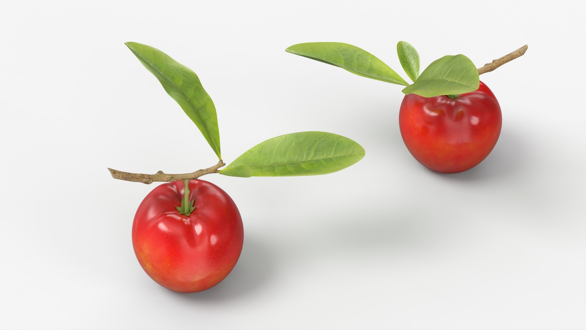 Acerola Fruit with Leaf Red 3D model https://p.turbosquid.com/ts-thumb/fj/sgHQPX/7q/acerola_fruit_with_leaf_red_003/jpg/1768861899/1920x1080/fit_q87/adc00684d997e6881b746982d8ca28e96a06521b/acerola_fruit_with_leaf_red_003.jpg