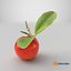 Acerola Fruit with Leaf Red