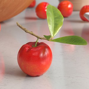 Acerola Fruit with Leaf Red 3D model