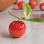 Acerola Fruit with Leaf Red