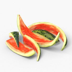 3D Watermelon Peel