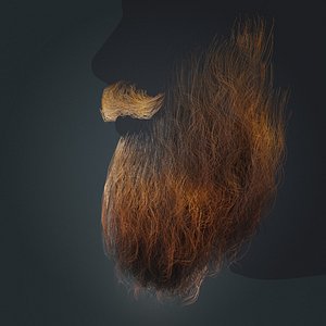 Beard RealTime 2 Version 3 3D model